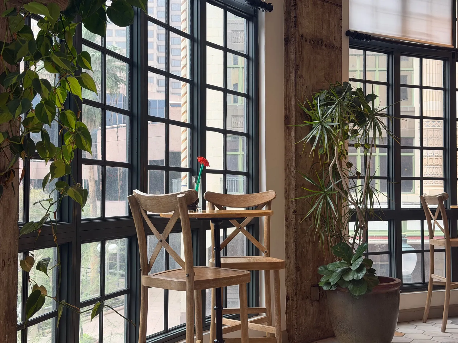 観葉植物と大きな窓のある明るいカフェの店内イメージ